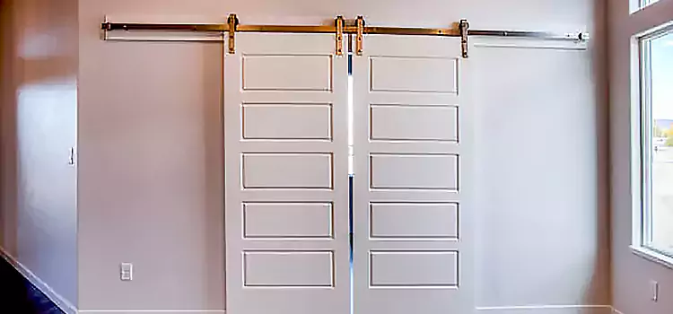 Glass Barn Door with Installation Hardware Kit Fitchburg